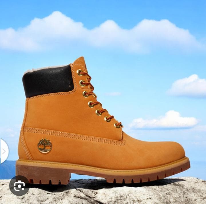 Bottines Timberland Marron